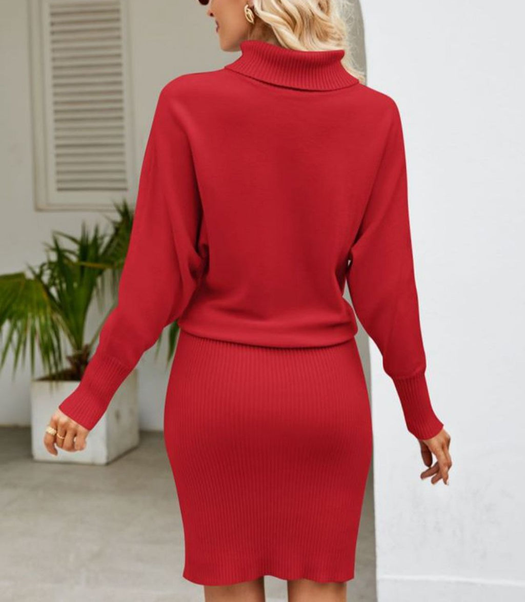 GR | Kuscheliges Rollkragen-Strickkleid Für Winterwärme