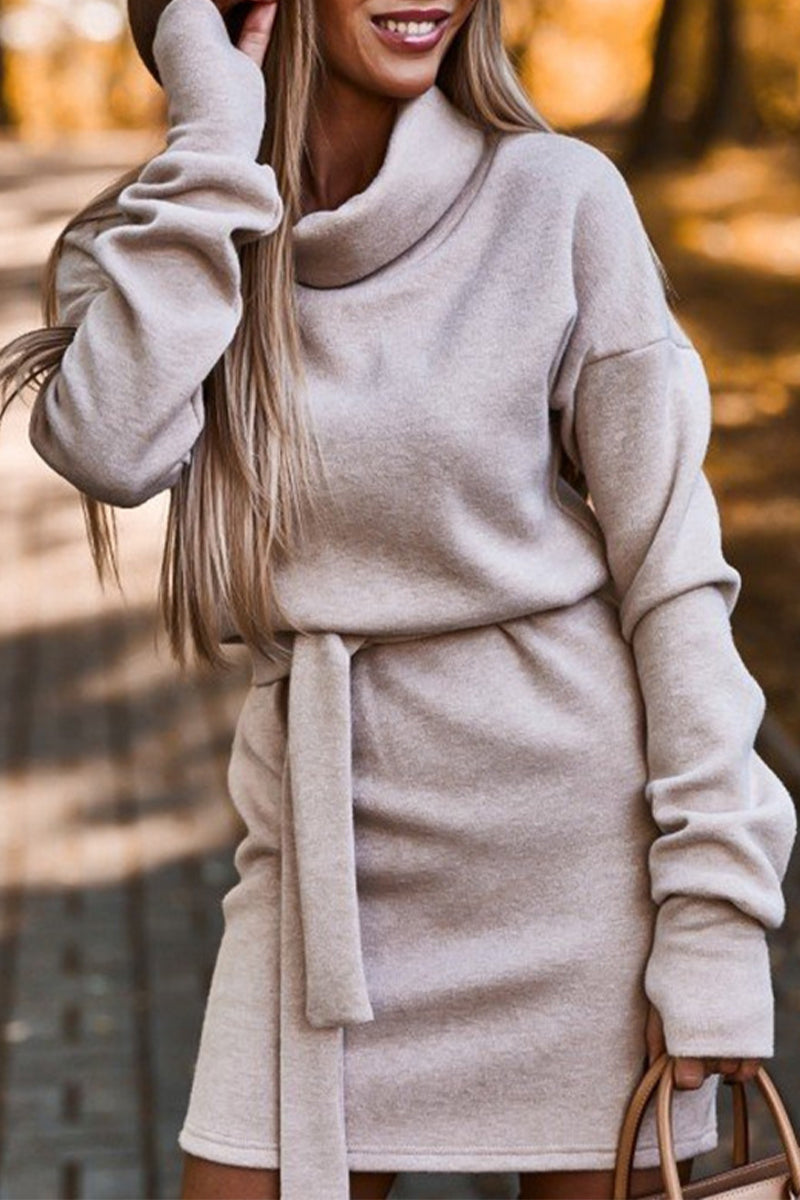 GR | Casual Solid Frenulum Turtleneck One Step Rock Kleider- 4 Farben