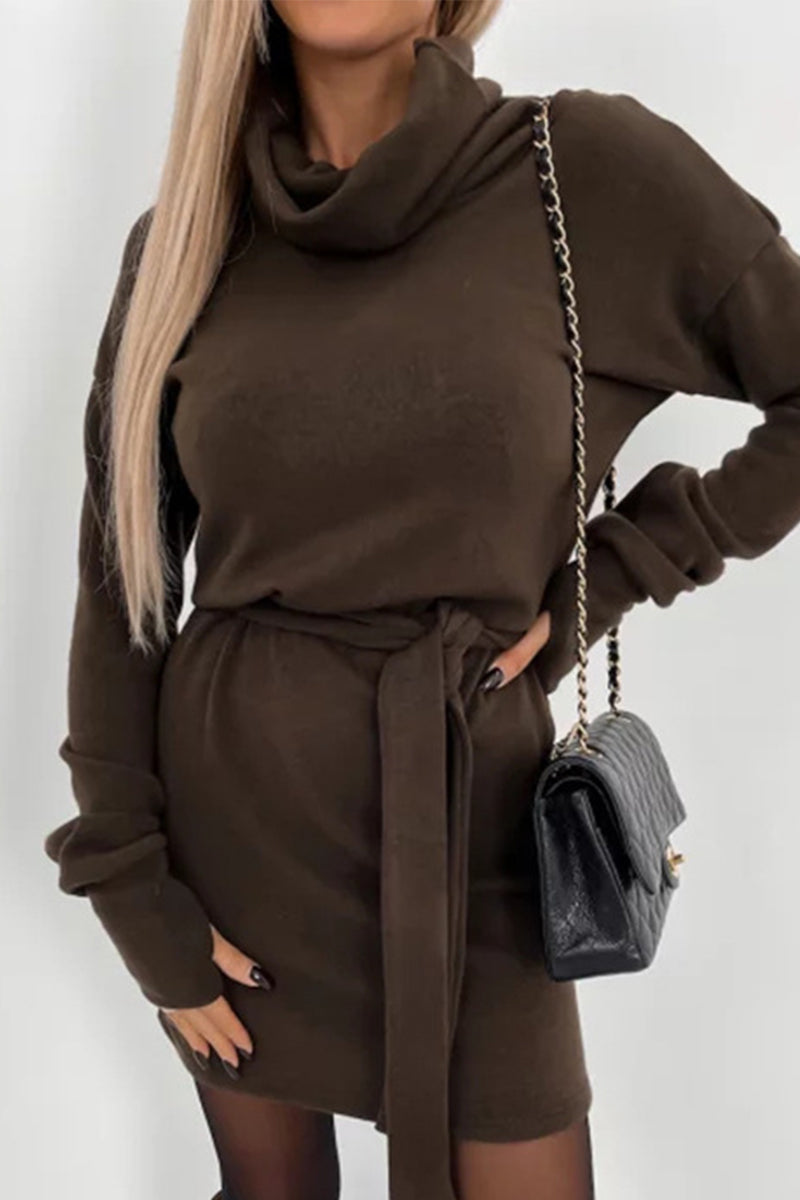 GR | Casual Solid Frenulum Turtleneck One Step Rock Kleider- 4 Farben