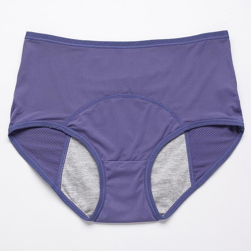 GR | Alldry Leakproof Panties for Women, 3-Pack