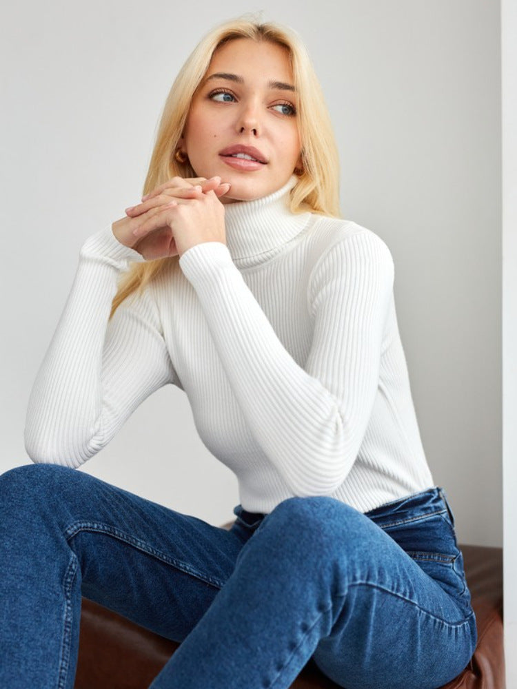 GR | Sophisticated winter roll-neck sweater