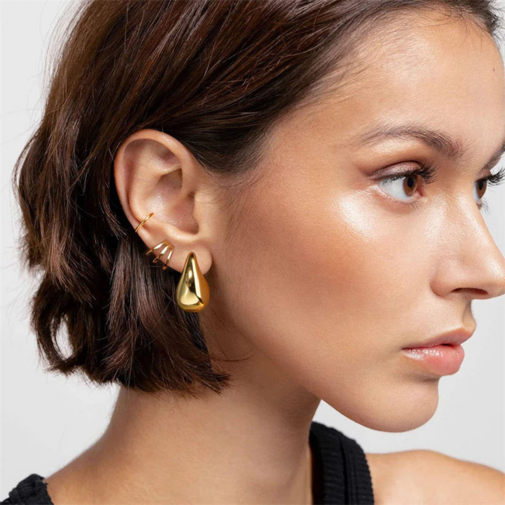 | Elegant earrings 