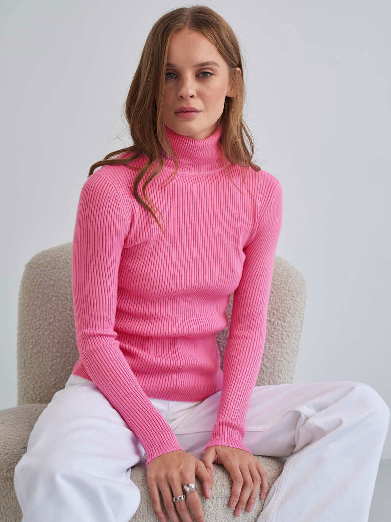 GR | Sophisticated winter roll-neck sweater