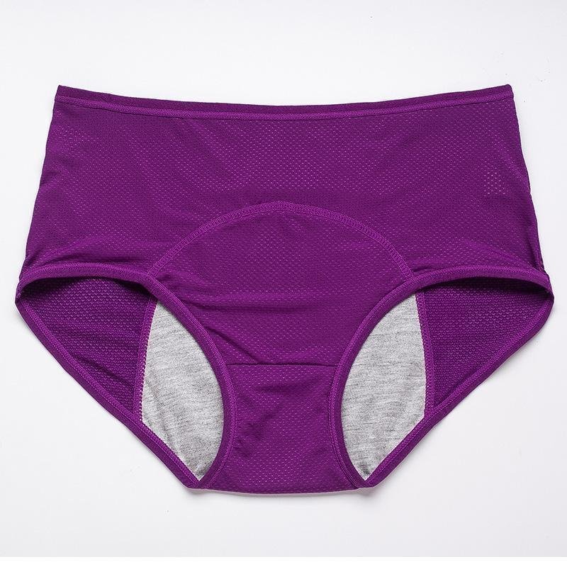GR | Alldry Leakproof Panties for Women, 3-Pack