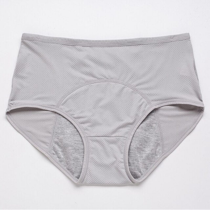 GR | Alldry Leakproof Panties for Women, 3-Pack