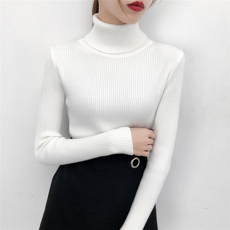 GR | Warmer Winter Rollkragenpullover für Damen