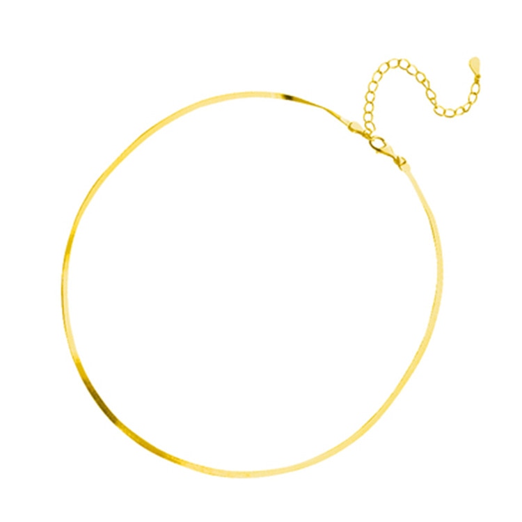 GR Elegant Sterling Silver Snakebone Necklace | Women's Clavicle Chain Necklace