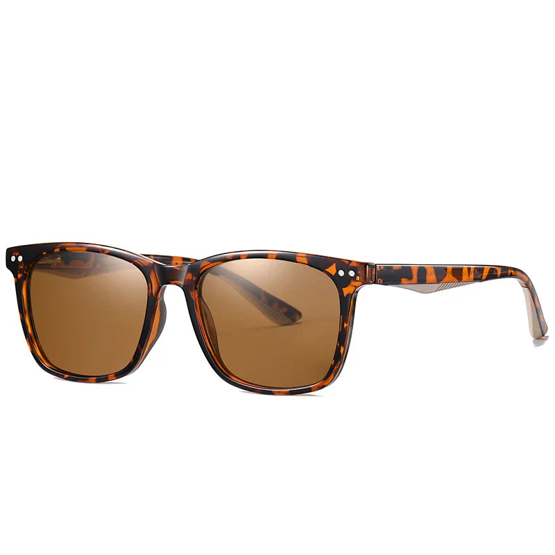GR | Classic sunglasses with a transparent frame